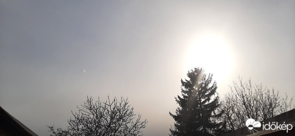 Szár