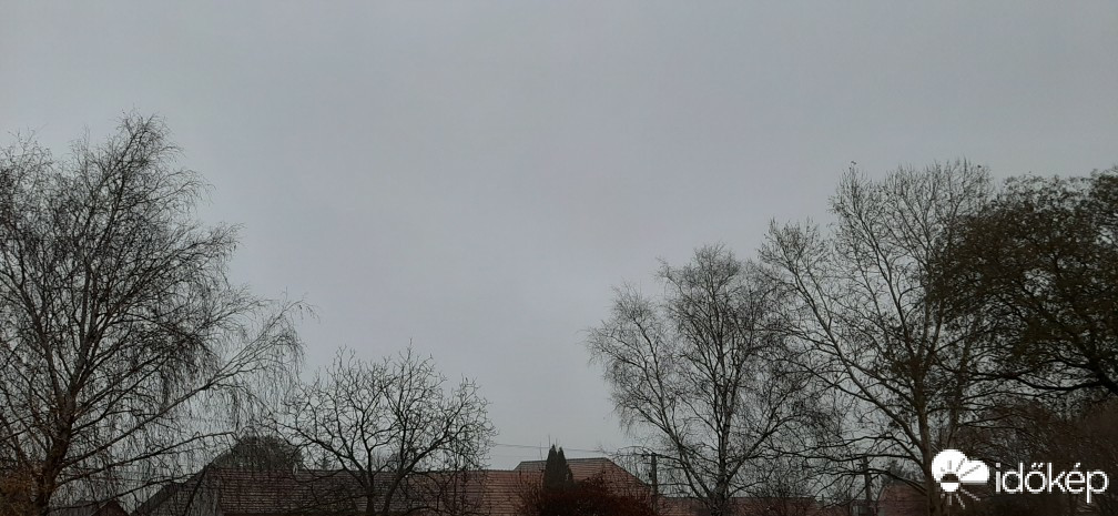 Szár