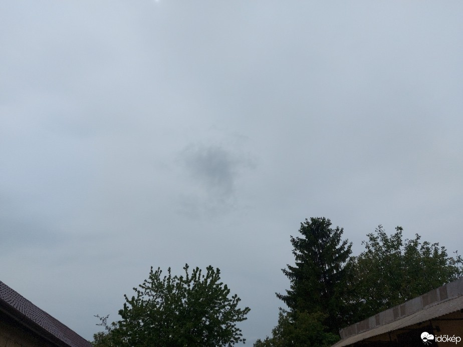 Szár