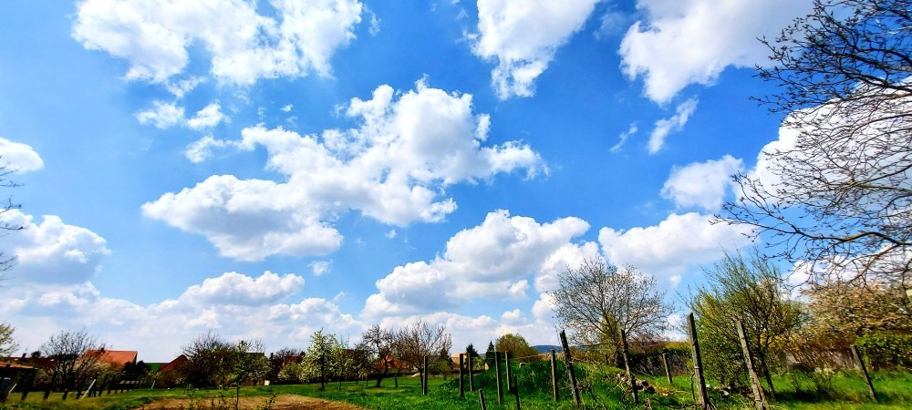 Szár