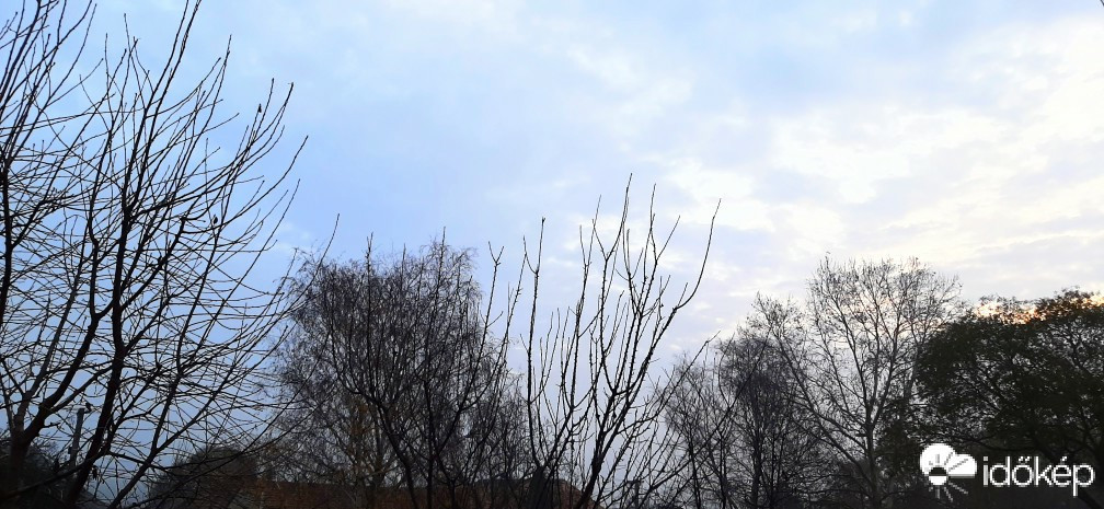 Szár