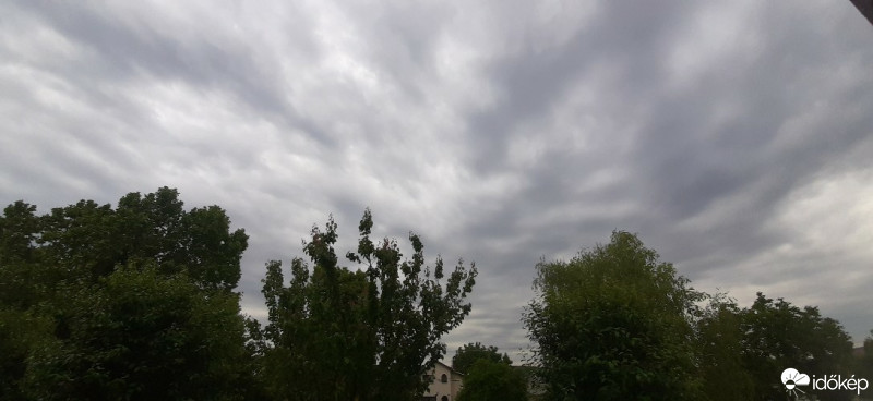 Szár