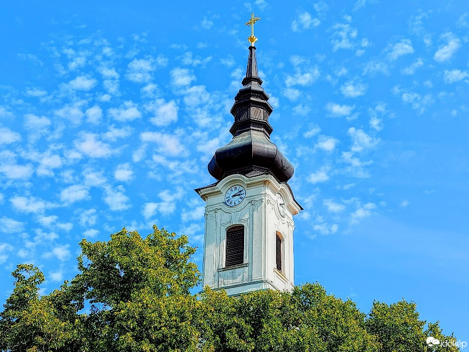 Szár