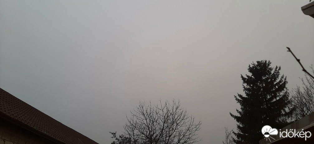 Szár