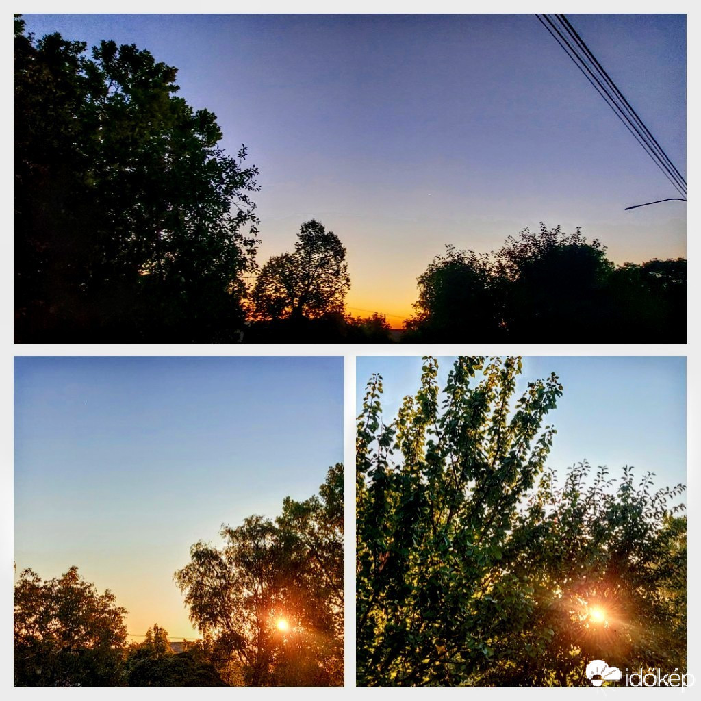 Szár