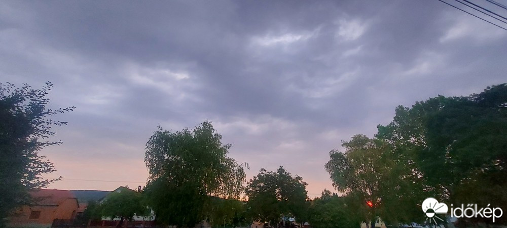 Szár