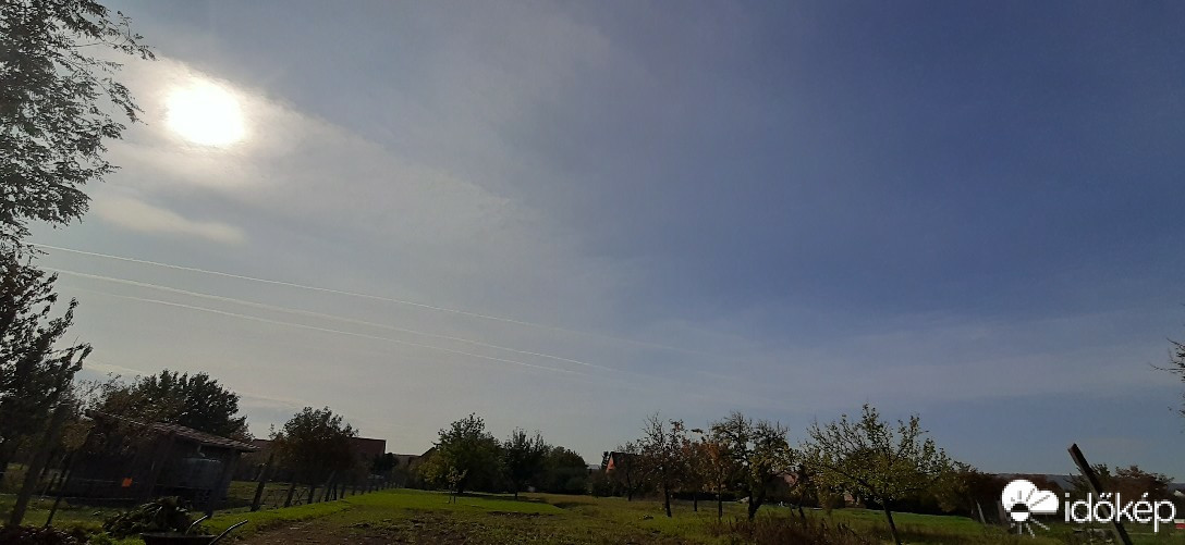 Szár