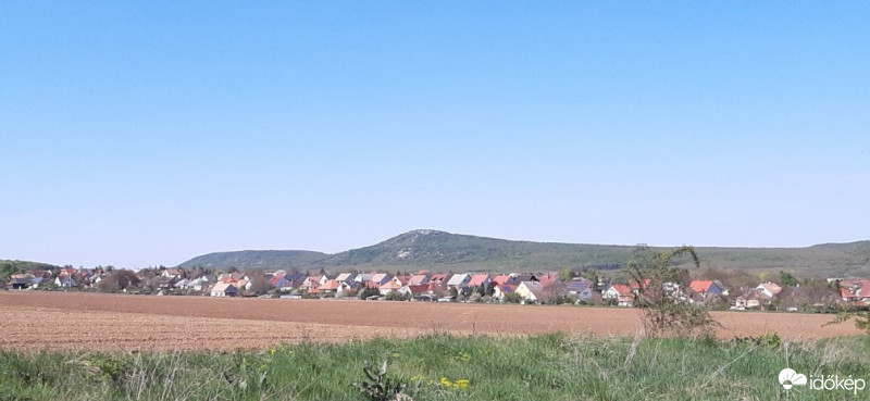 Szár