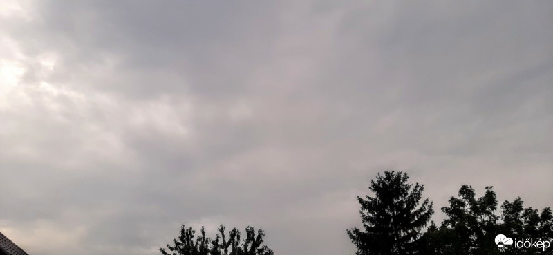 Szár