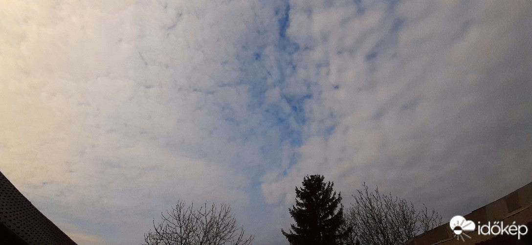 Szár