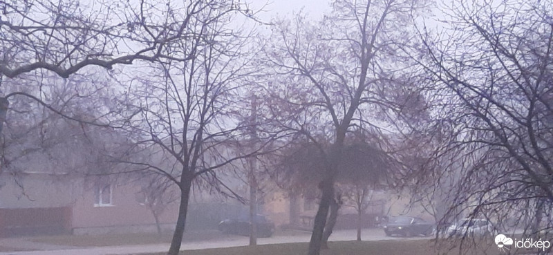 Szár