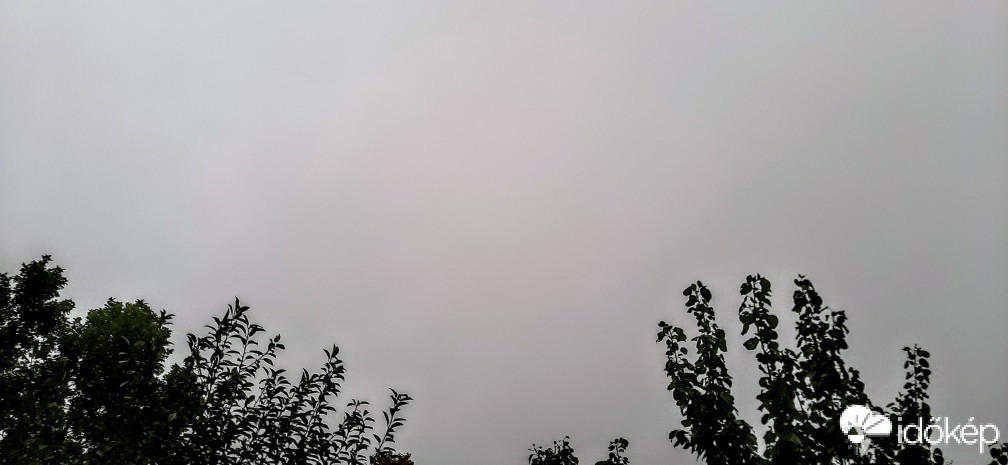 Szár