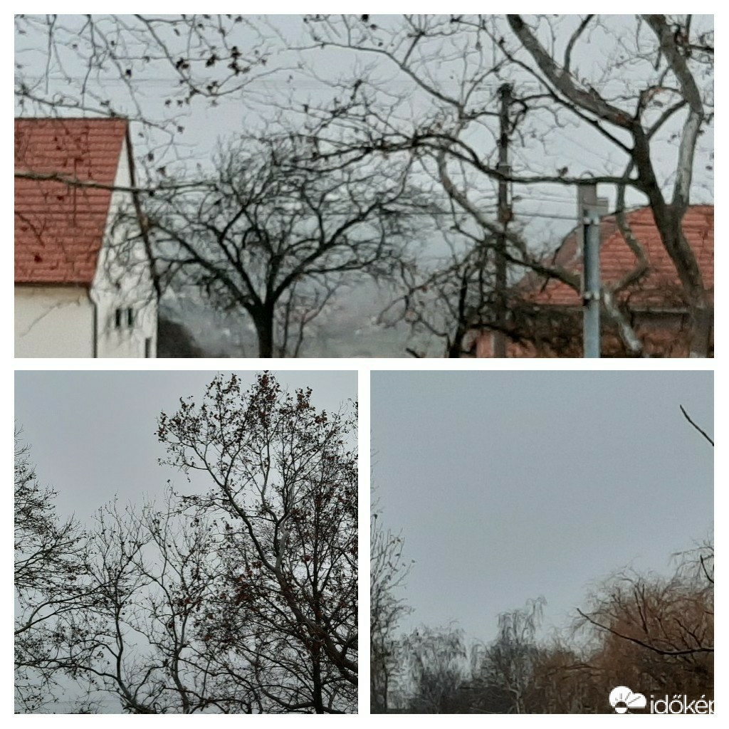 Szár
