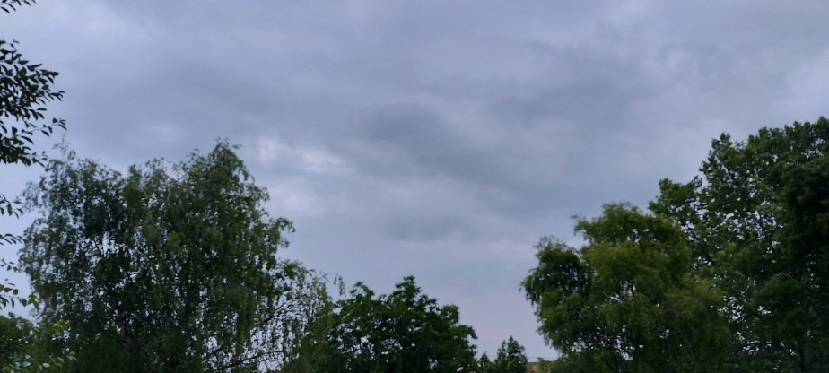Szár
