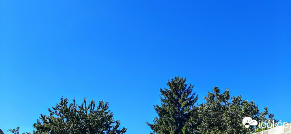 Szár
