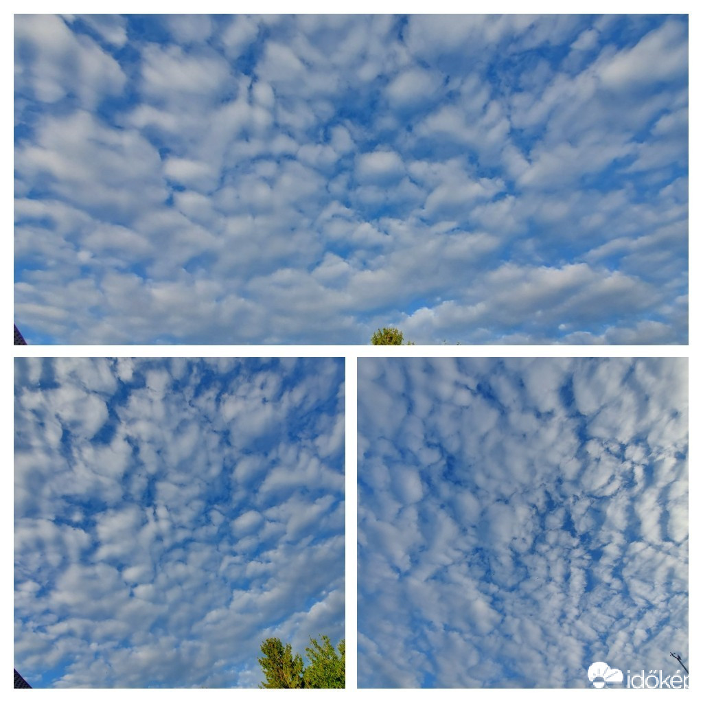 Szár