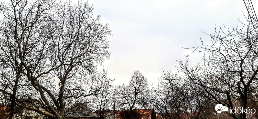 Szár