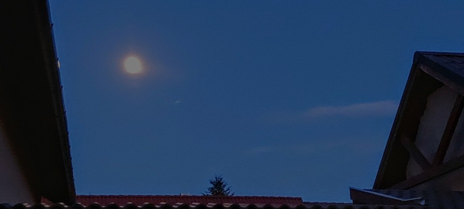 Szár