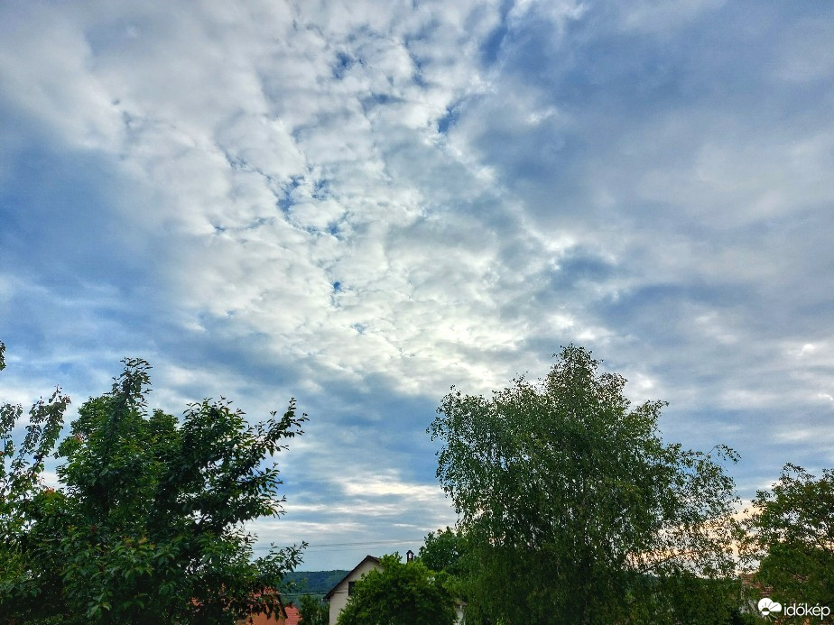 Szár