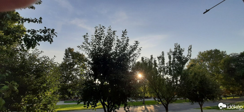 Szár