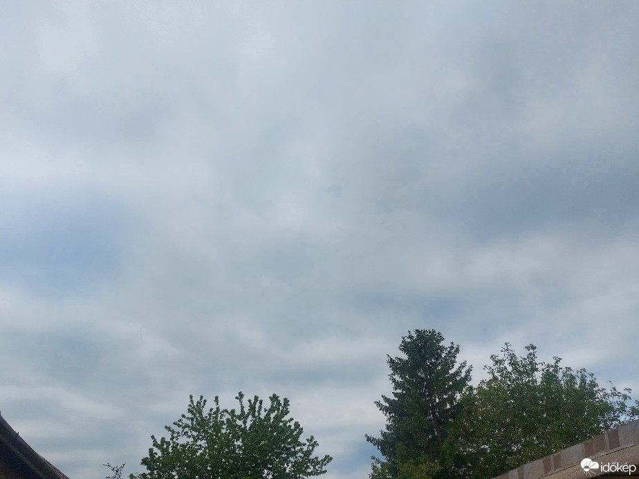 Szár