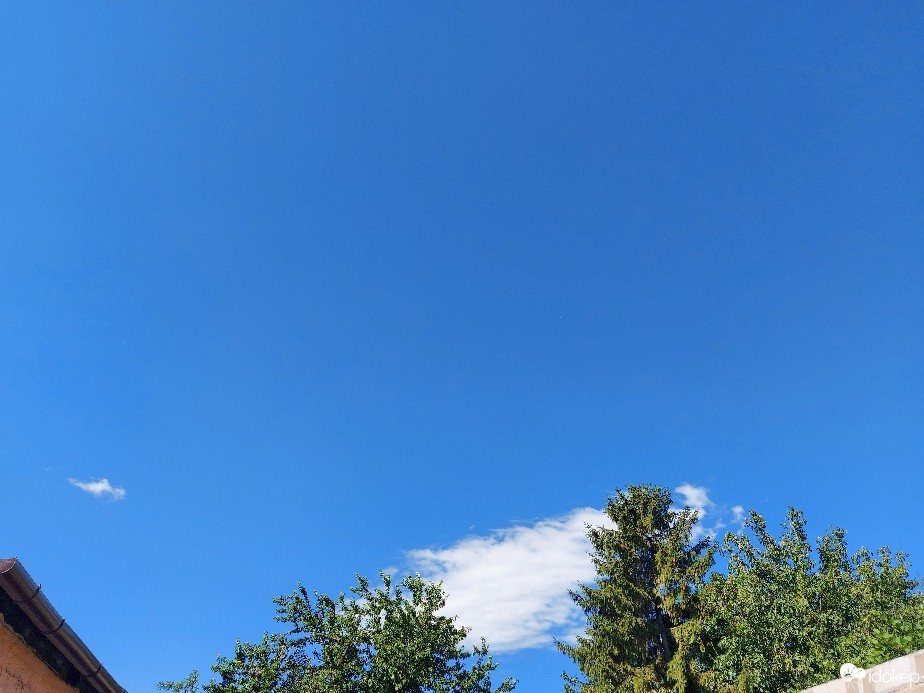 Szár