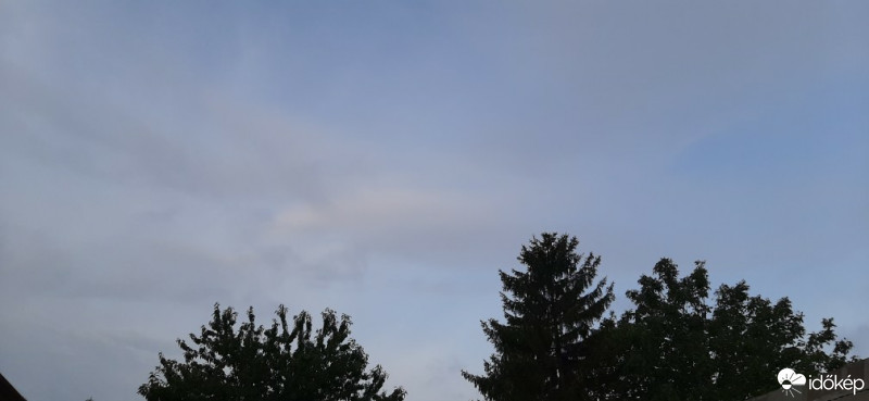 Szár