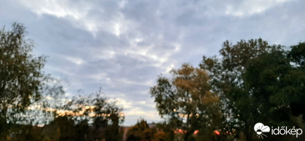 Szár
