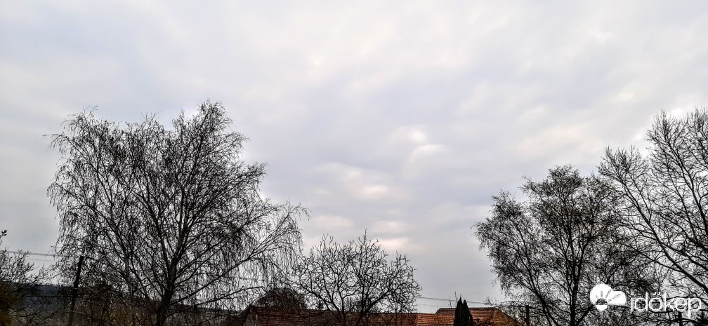 Szár