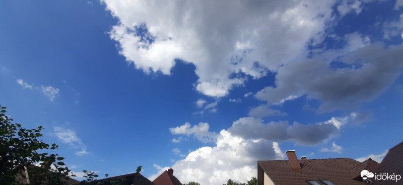 Szár