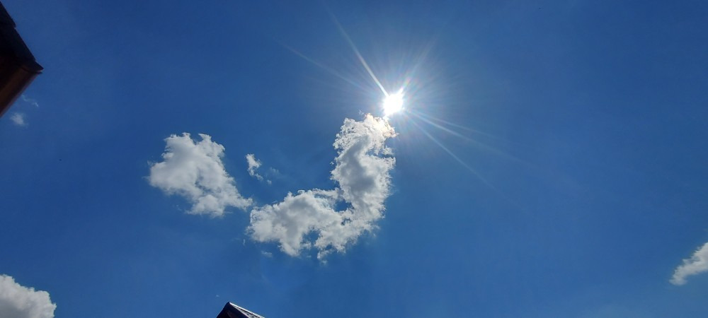 Szár