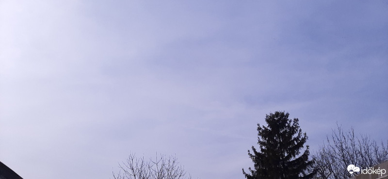 Szár