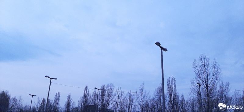 Szár