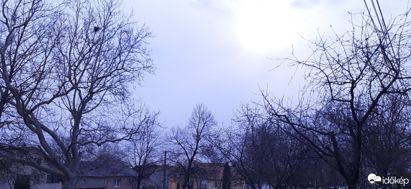 Szár