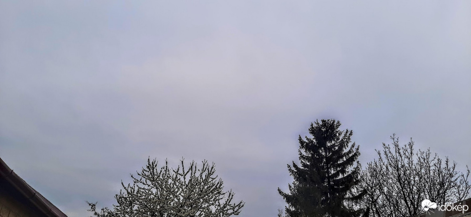 Szár