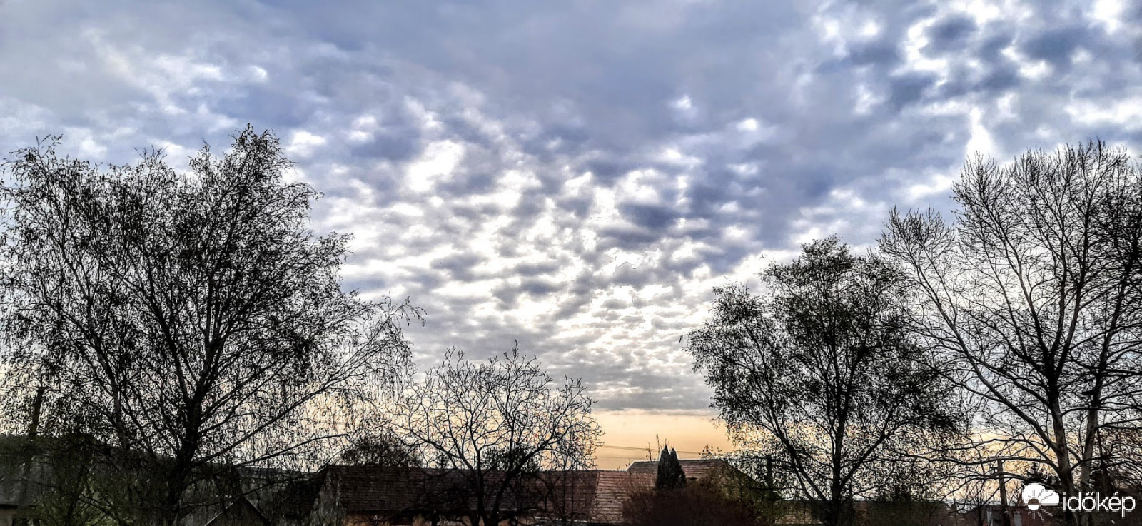 Szár