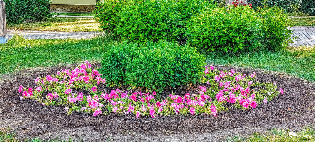 Közterület 