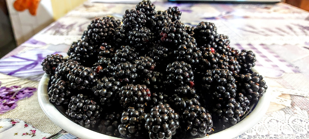 Egy adag "fekete arany".