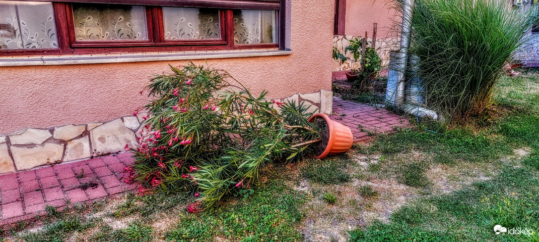 Szél, eső nélkül.