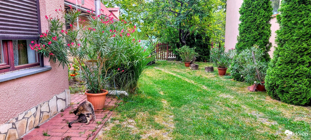 Rend  a lelke mindennek.