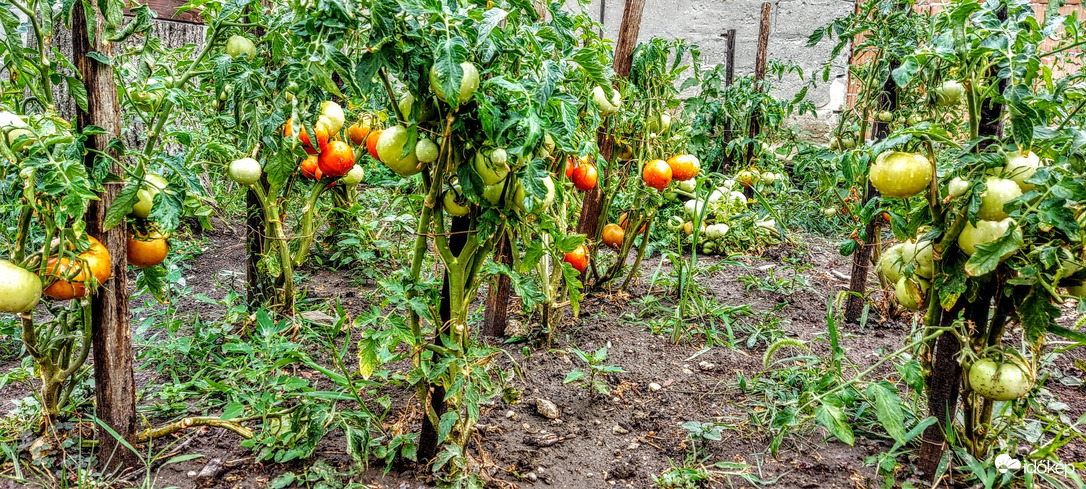 A "kisbirtok". Talán elég lesz.