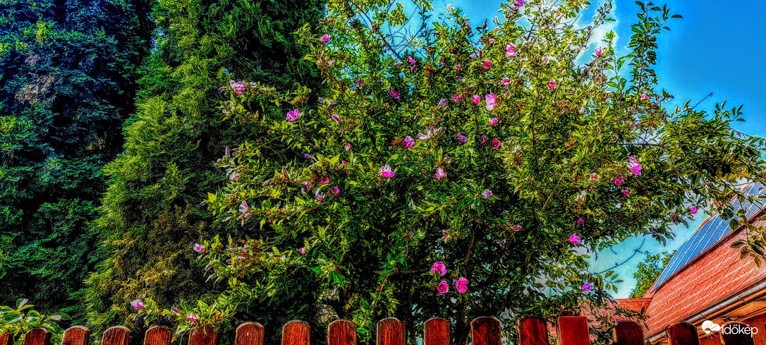 Igaz, hogy borult, de nekünk tetszik.