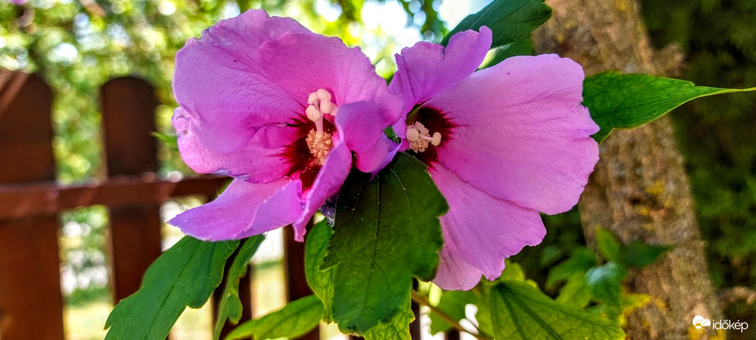 Jól "esett" a tegnapi eső.