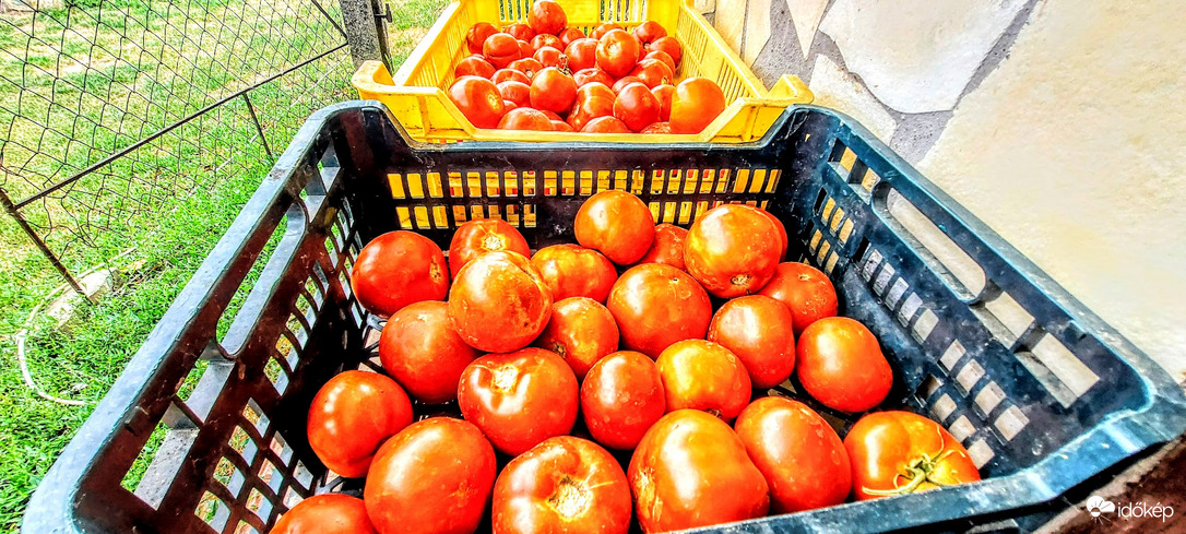 Lassan sorra kerülünk.