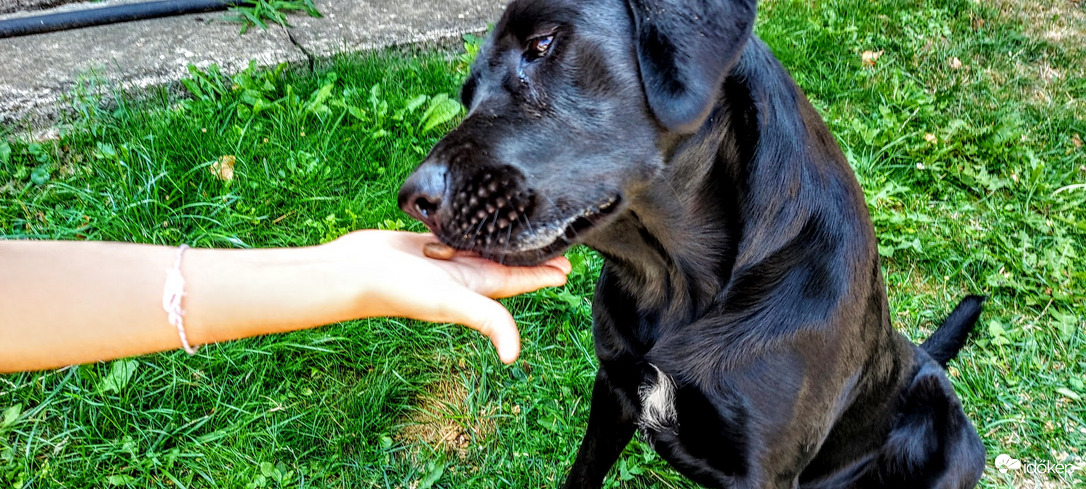 Tudtam hogy megjön.