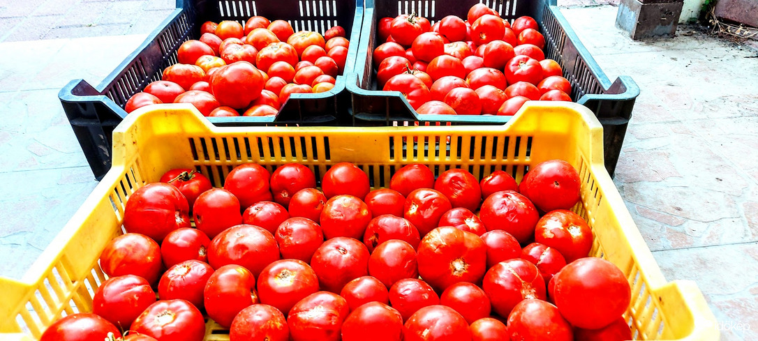 Várjuk a sorsunkat./ Mai elfoglaltság./