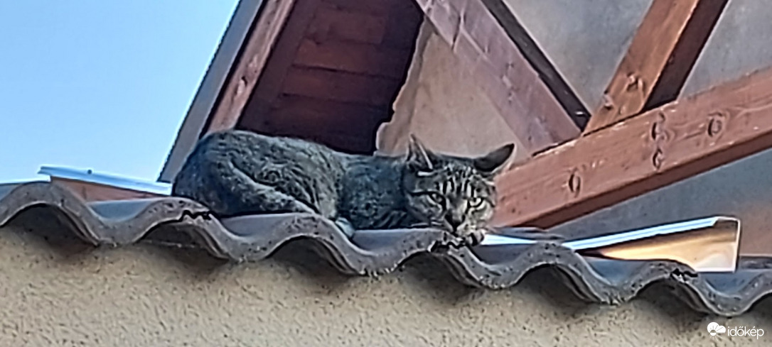 Mi lesz ma a vacsora?