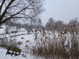 Újudvar
