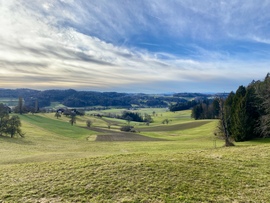 Svájci kirándulás