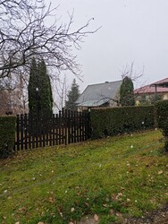 Cák
